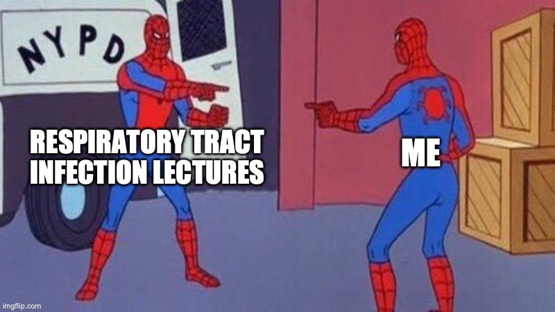 it can't be a coincidence that I happen to have a respiratory infection right in the middle of our respiratory block