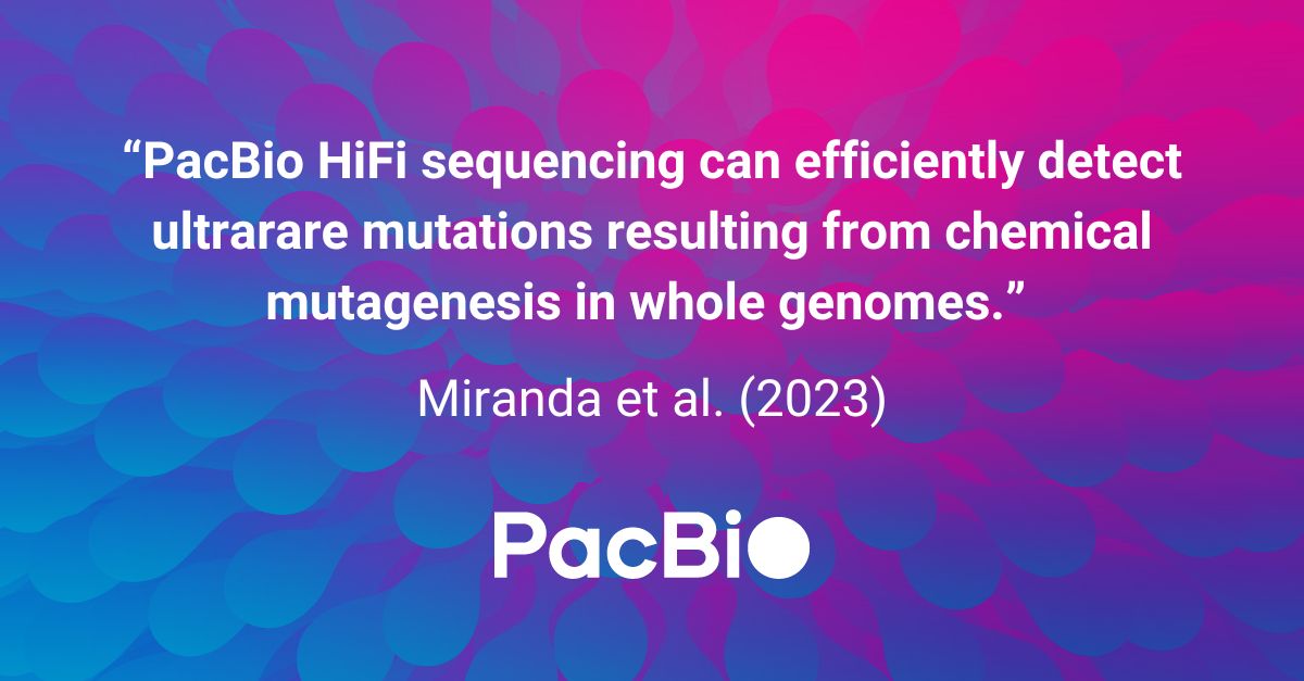 PacBio's tweet photo. When faced with the challenge of detecting ultrarare mutations, these researchers turned to #PacBio HiFi sequencing. Why? Game-changing sensitivity. Read the full paper here: https://t.co/FYu3U0WZGD
#PoweredByPacBio #ASHG23 #ASHG2023 https://t.co/napOKi6XAe
