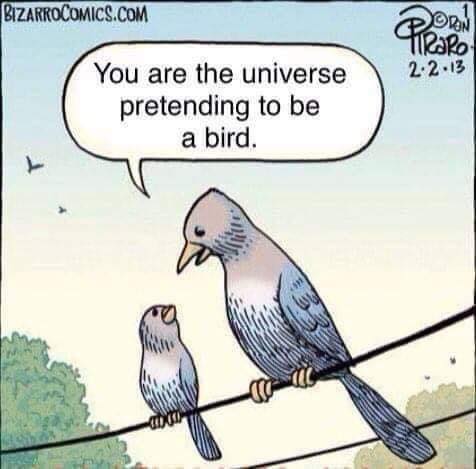 Bisman_UU's tweet image. #bismanuu #bismarcknd #mandannd #northdakota #uutwitter