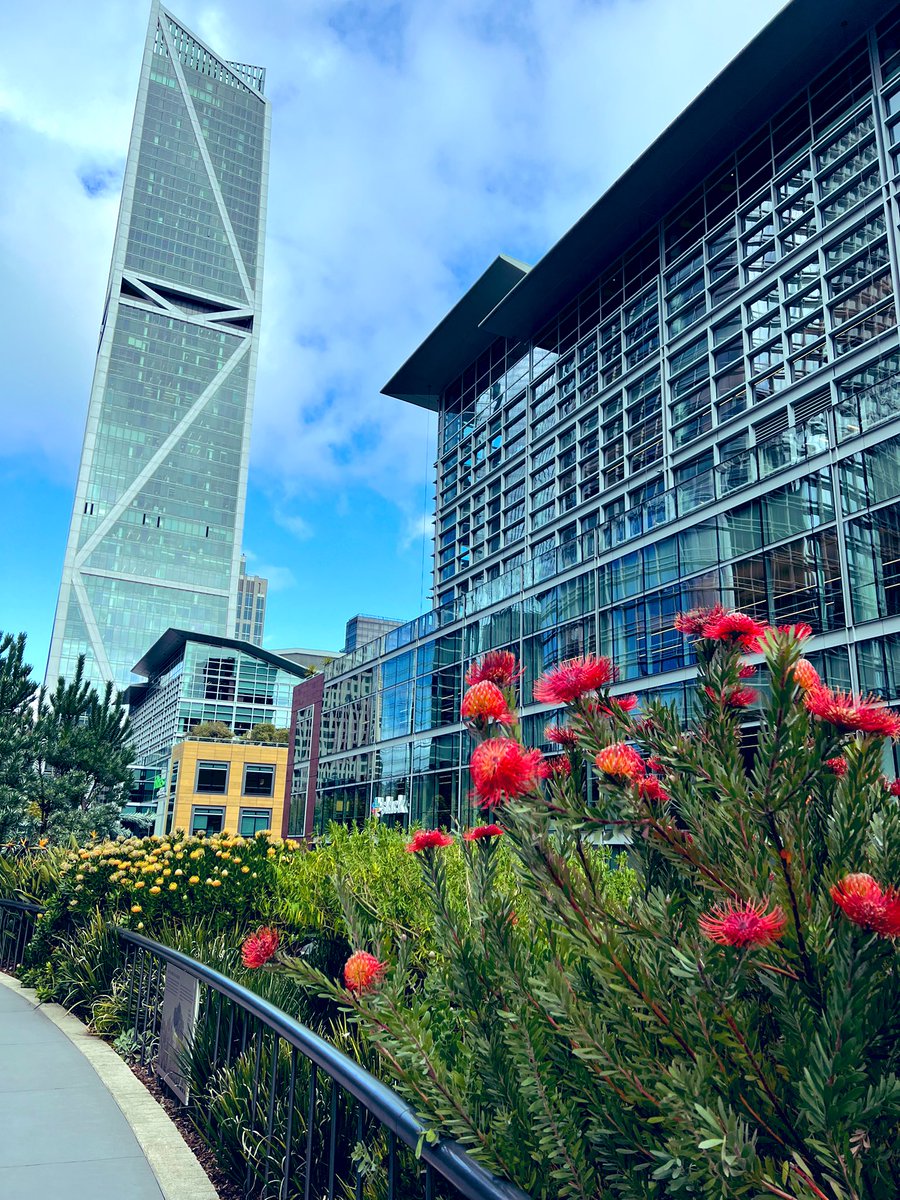 sanjaynath's tweet image. #Salesforcepark by the @salesforce tower in SF can be a role model for creating an oasis of nature, amidst a sprawling urban downtown cluster of high rises 

&apos;A walk in the park&apos; is seldom more serene  

Excited about Mumbai&apos;s metro, sealink and other infra projects, ditto in…