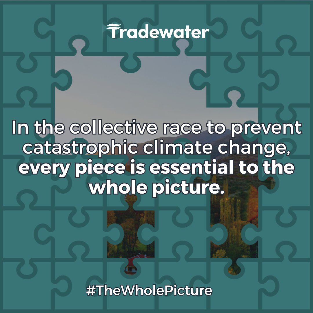 In our collective race to prevent catastrophic #climatechange, every piece is essential to the whole picture.
By supporting #climatesolutions that have an impact TODAY, you can help pave the way for a decarbonized future.
Learn more at tradewater.us/get-involved.