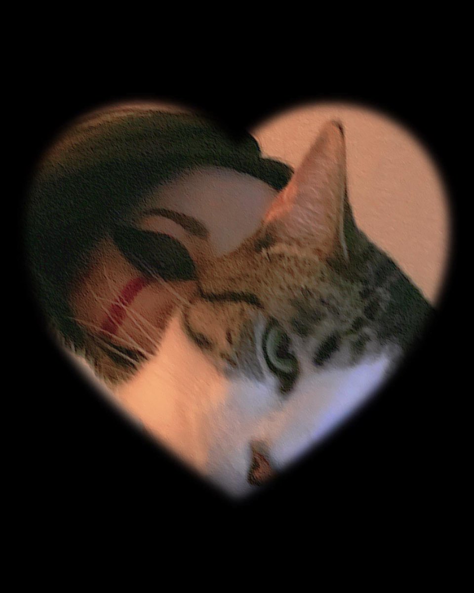 PequeKanda's tweet image. The Puppet🎭 
Had a lot of fun doing this. 

#puppetfnaf #puppetfnafcosplay