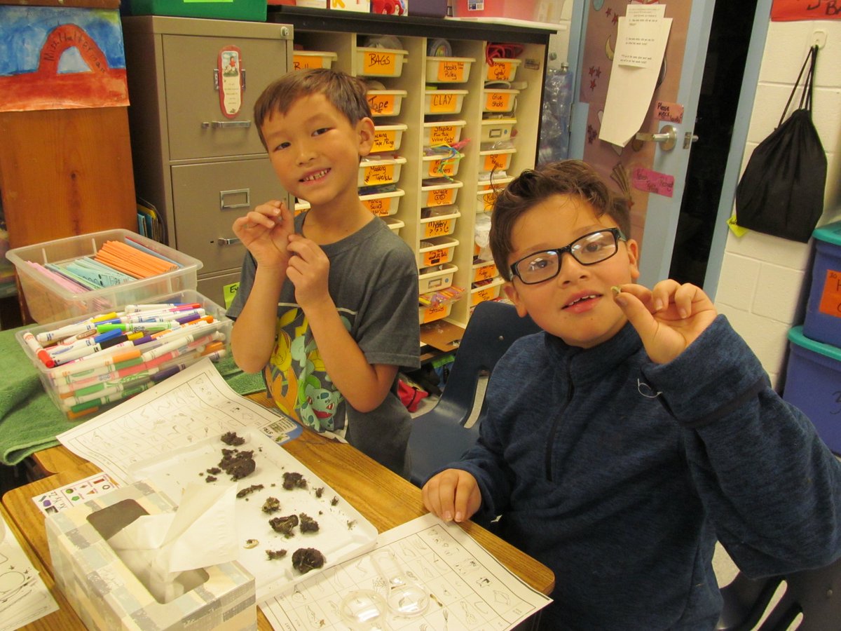 Our SCIENCE vocab word this week is "classify".  Our scientists explored owl 🦉pellets to classify bones🦴 and make conclusions about what our owls ate.  We had some hungry owls eating rodents, birds, and moles!
#RESBelieves