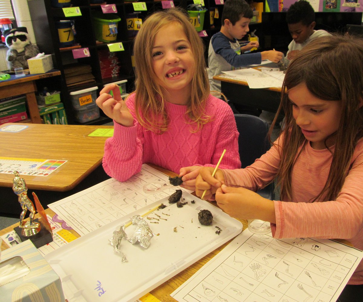 Beth Halterman tweet media