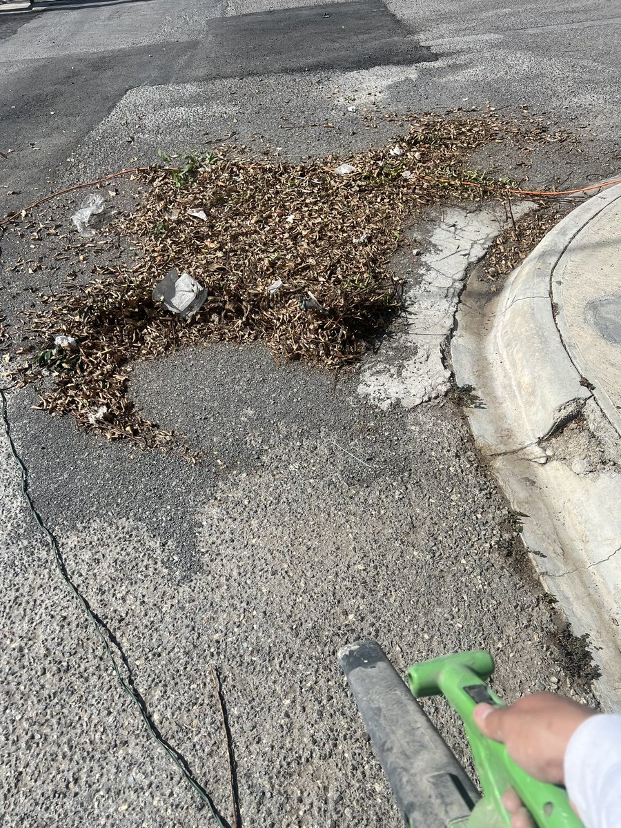 Rol Becerril tweet media