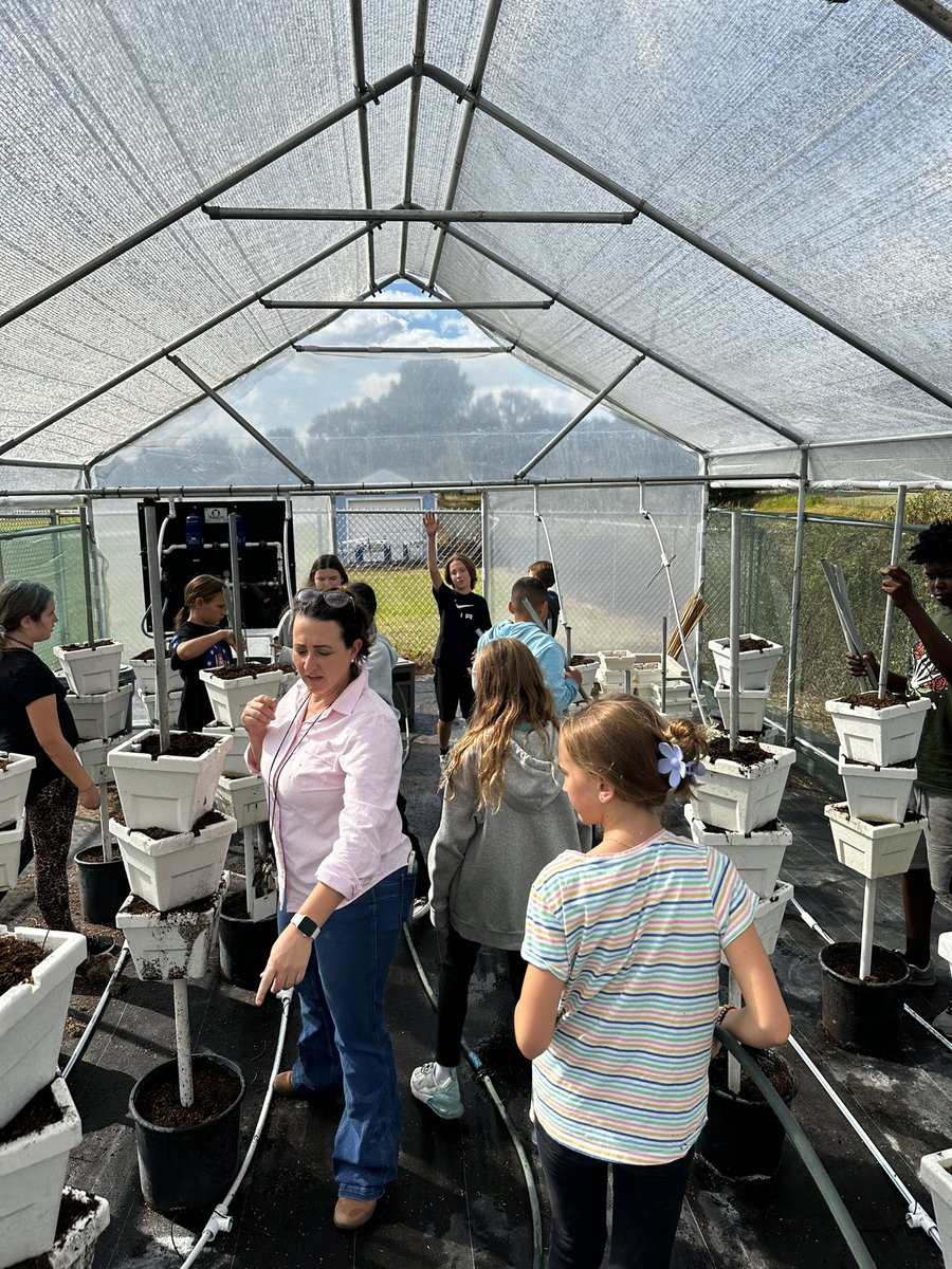 Christopher Roy tweet media