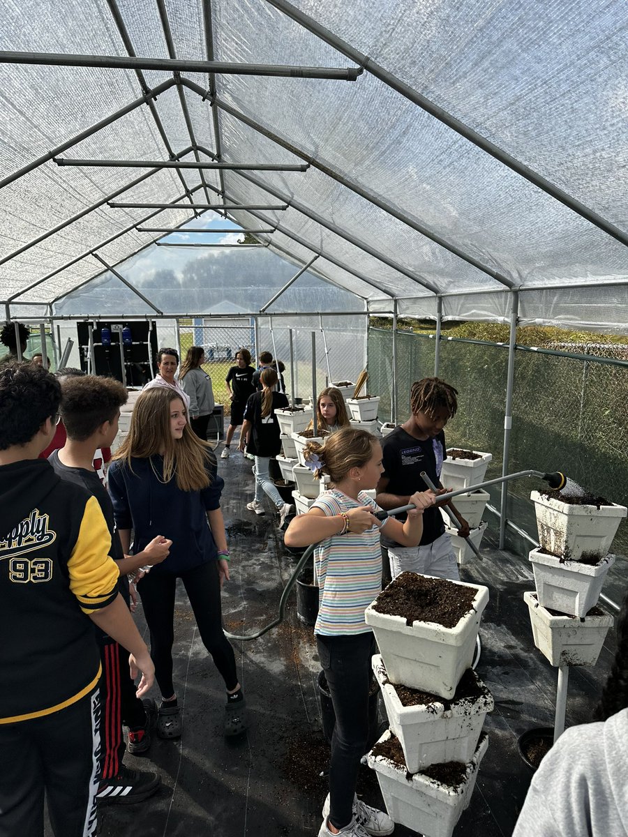 Christopher Roy tweet media