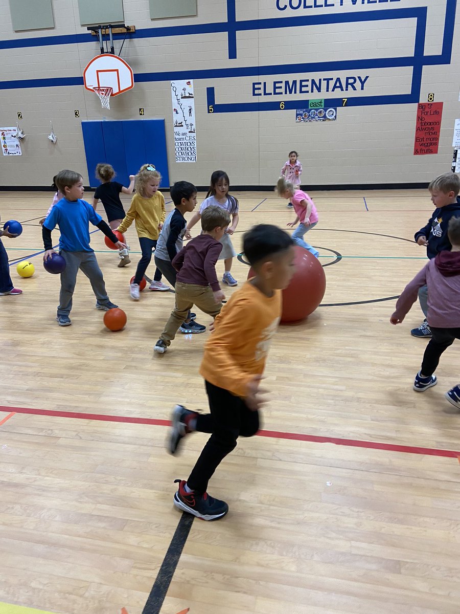 Chelsye Miller tweet media