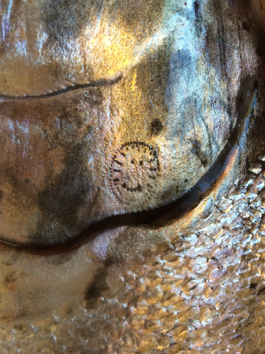 USFWS Pacific tweet media