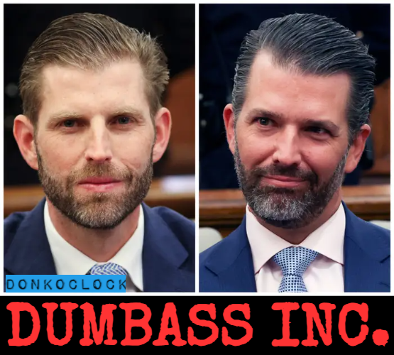 donkoclock's tweet photo. Breaking - Don Jr. and Eric Trump were confronted with smoking gun emails today. Both "play" dumb.

Katie Phang nails it,  “If these two blockheads think they can snow Judge Engoron, they’re in for a rude awakening.”

Drop a 💙 if you love seeing their inheritance diminished! 💙