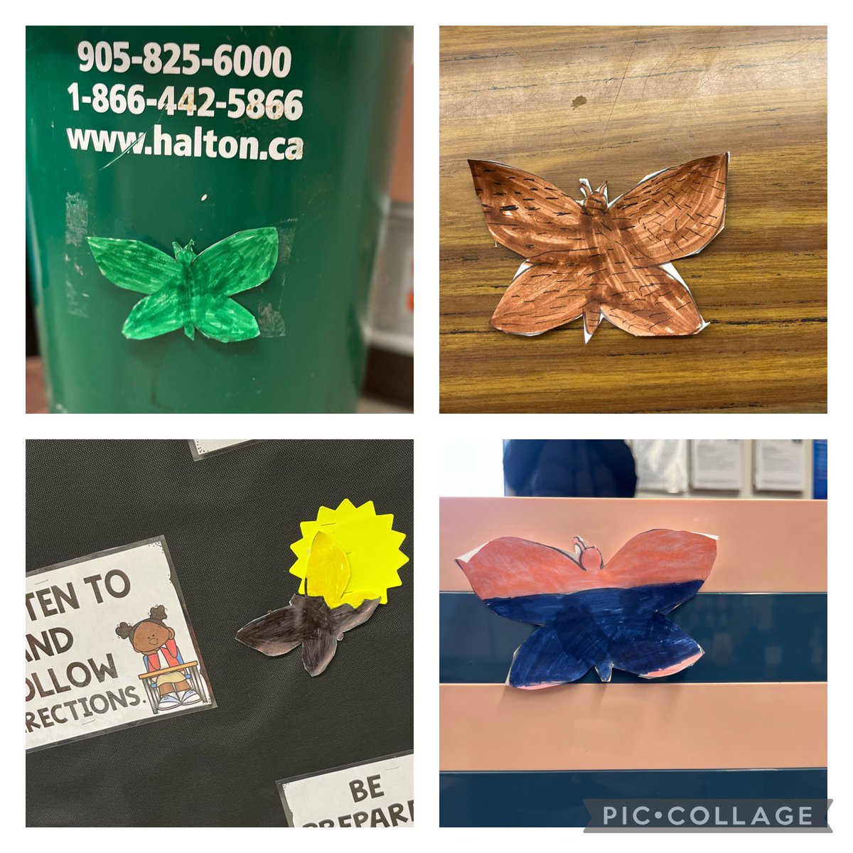 Mrs. Ray tweet media