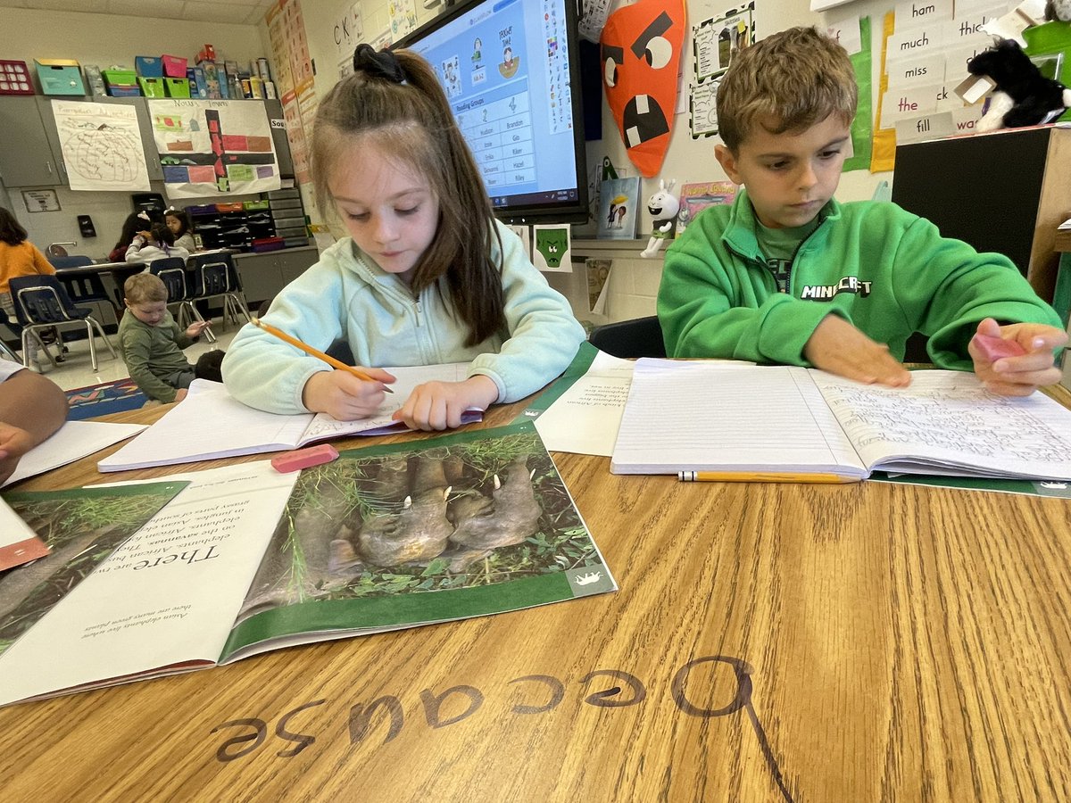 Megan Little Ed. S. -1st grade Husky tweet media