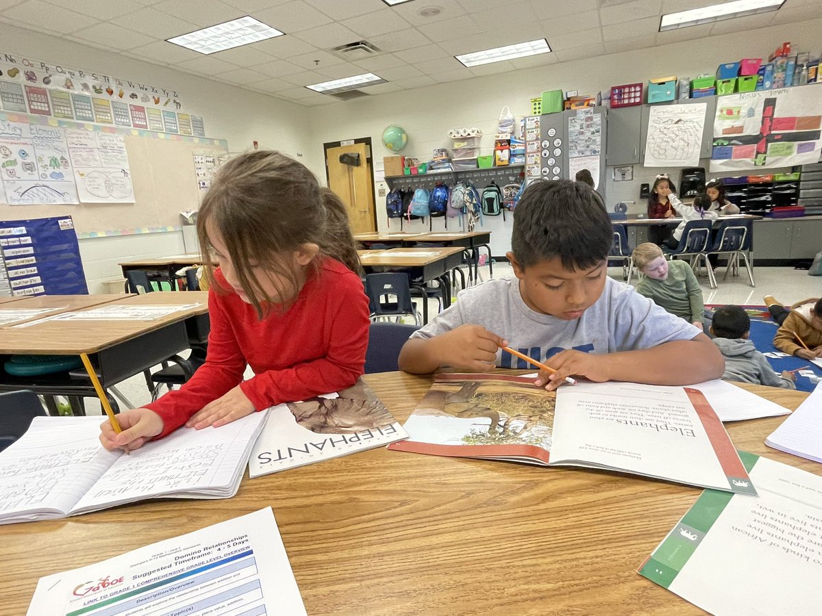 Megan Little Ed. S. -1st grade Husky tweet media