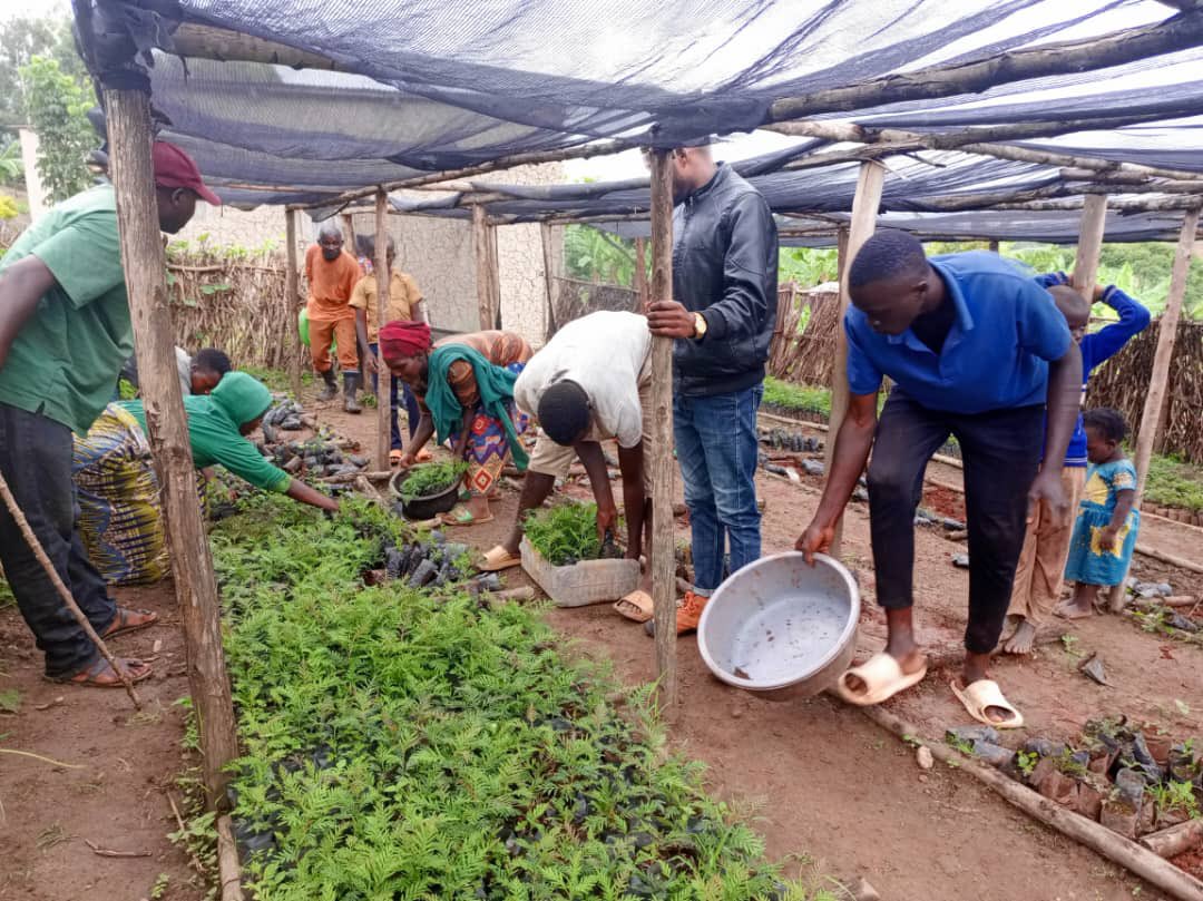 mushikirisector's tweet photo. Ku bufatanye na @oneacrefundRW, uyu munsi abaturage ba @mushikirisector bakomeje guhabwa #ibiti birimo n’ibivangwa n’imyaka kugira ngo biterwe muri iki gihembwe cy’ihinga 2024A https://t.co/A4PGKxrrwU