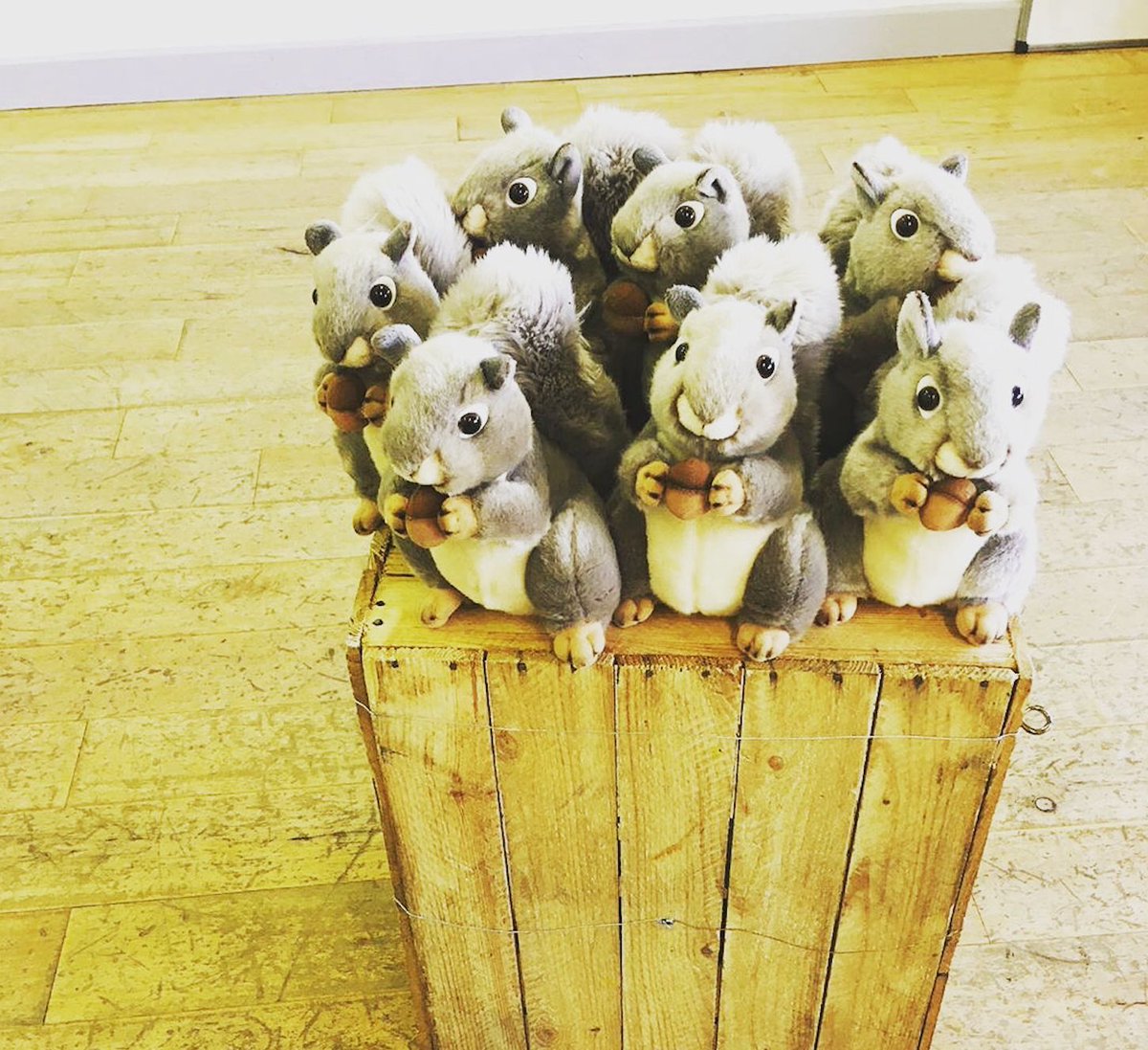 Jennifer Irons tweet media