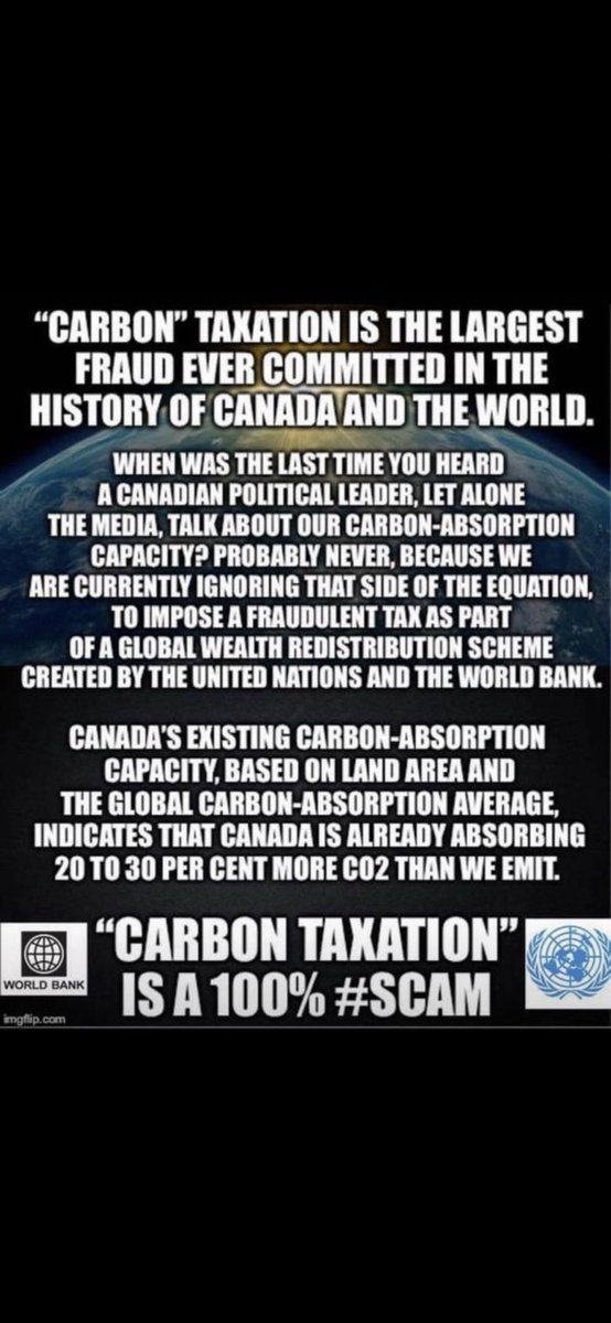 Harmony47383691's tweet photo. I’m Ready For A #CarbonTaxElection #TrudeauBrokeCanada #TrudeauCorruptionMustGo https://t.co/ucLsESEwrU