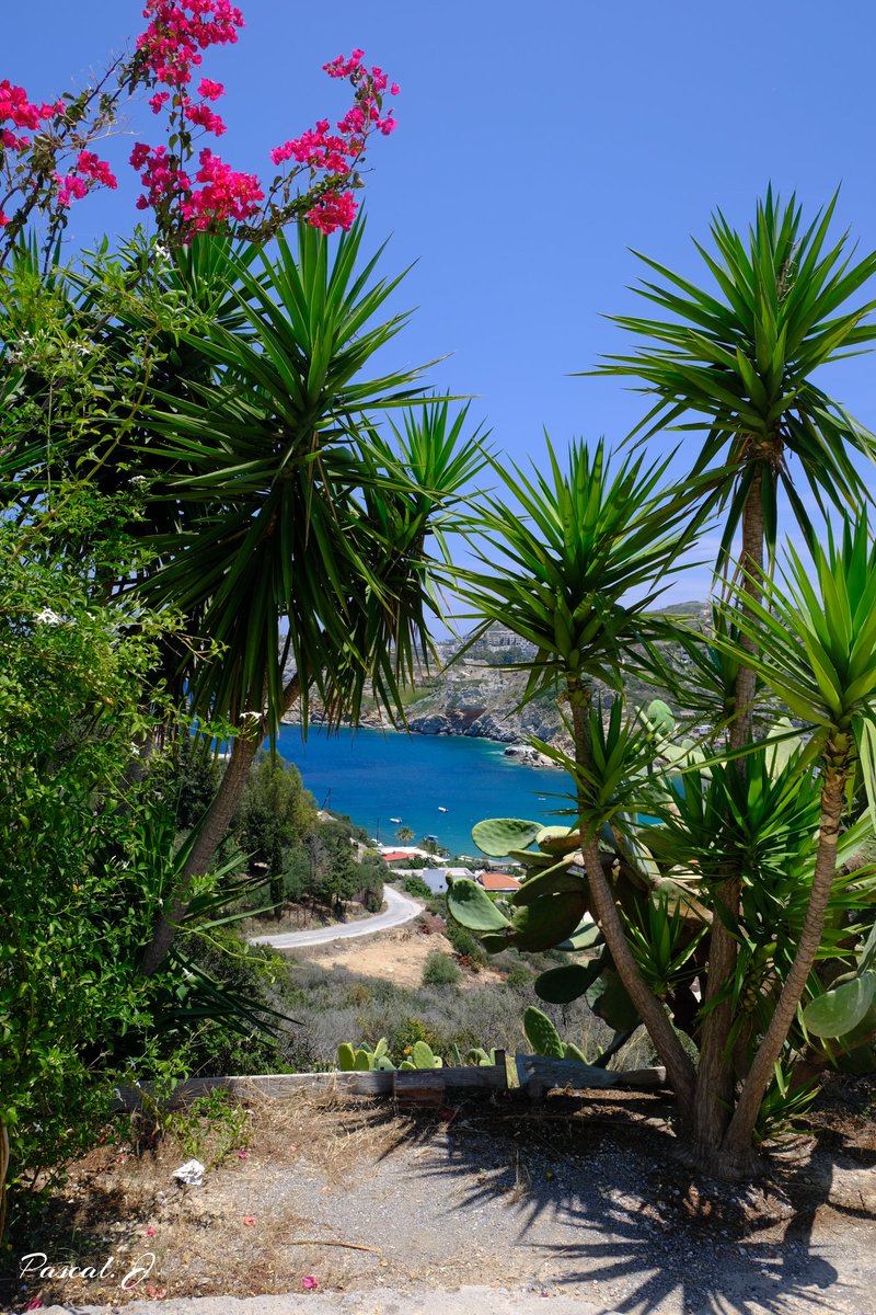jtu35's tweet photo. Pour ce #jeudiphoto les amis quel serait votre choix : #AgiaPelagia, #Bali, la douceur de vivre du village de #krassi ou #Ierapetra ville la plus méridionale d'Europe ? 🤔 Belle soirée à tous 🤗😉
#crete #creta #grèce #Greek #greece #travel #voyage #Trip #mediterranee #fujifilm https://t.co/91NF136sDC