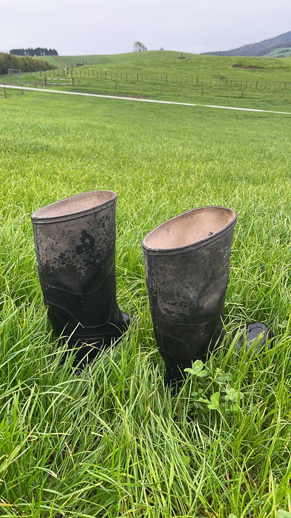 samueltowen's tweet photo. #gumbootfriday https://t.co/ggeqJ9egyU