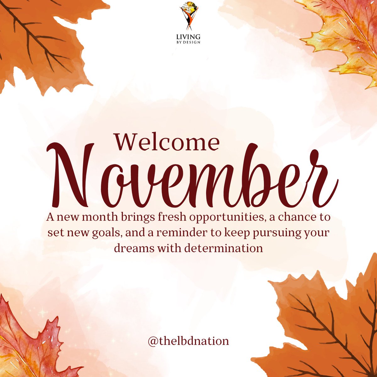 TheLBDNation's tweet photo. May Favour find you this new month IJN.

#happynewmonth #november https://t.co/4msgHehmon