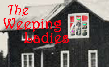 Wallaby Mages Gaming tweet media