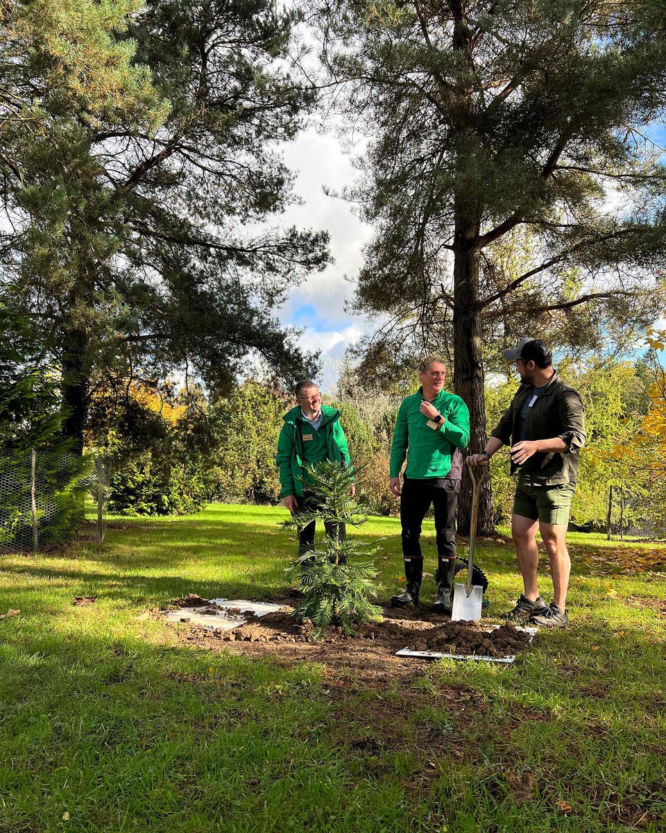Botanic Gardens of Sydney tweet media