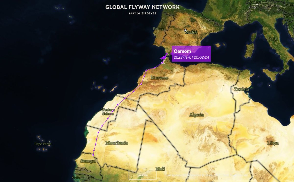 Global Flyway Network tweet media