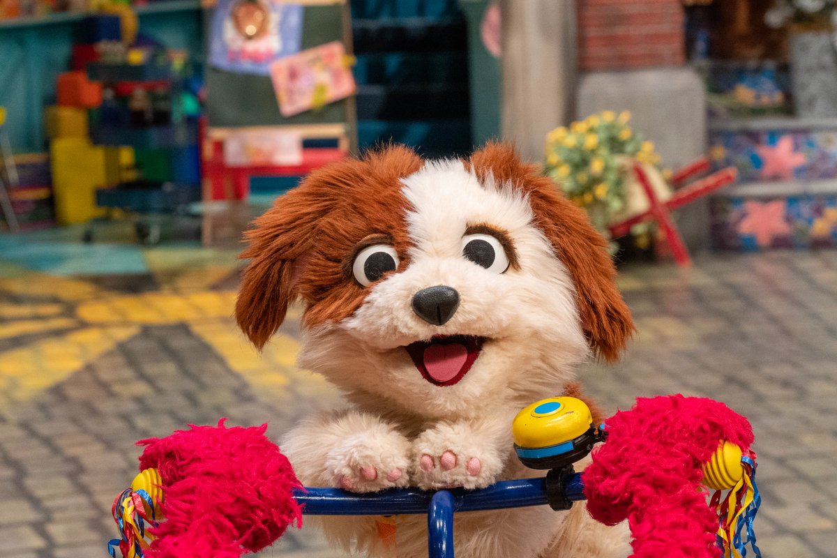 elmo's tweet photo. Isn't Tango the cutest? Elmo loves you, Tango! #PuppyAppreciationPost #FurryFriendsForever https://t.co/Eh3IYbs1OQ