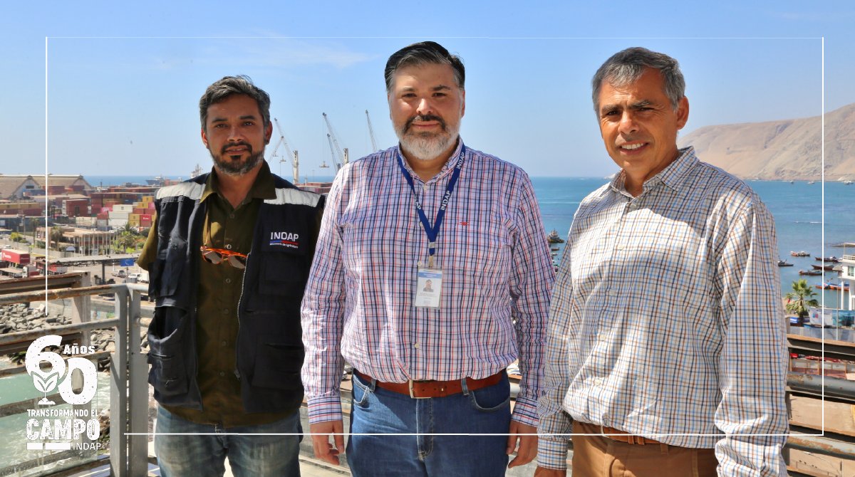 INDAP_Tarapaca's tweet photo. Nuestro DR y Jefe de Fomento de @INDAP_Tarapaca  junto al alcalde de @IquiqueDeTodos sostuvieron una importante reunión, para desarrollar futuros circuitos cortos de comercialización, en beneficio de nuestros agricultores(as), a través de nuestro programa #MercadoCampesino https://t.co/PzwKZxBTUj