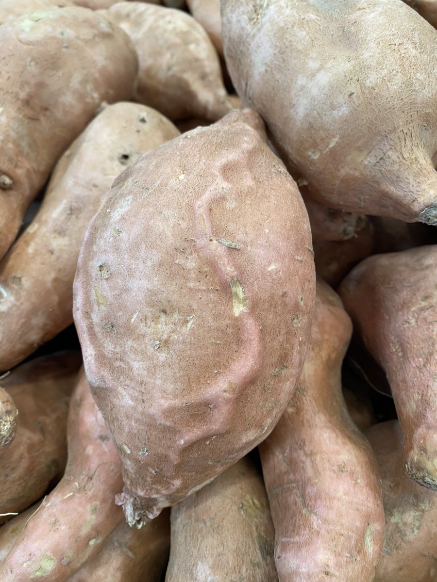 🅱️ophie tweet media