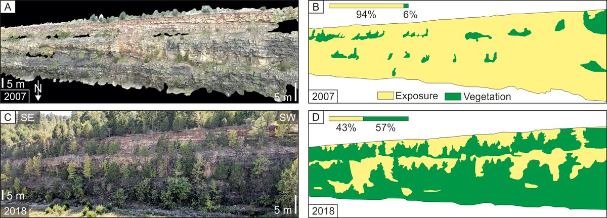 A different, but important, take for #WorldDigitalPreservationDay - digital outcrop preservation. It's important to digitally preserve key geological outcrops. This increases #Inclusivity, #accessibility, and reproducibility. Read the @TheSedRecord paper: thesedimentaryrecord.scholasticahq.com/article/31901-…