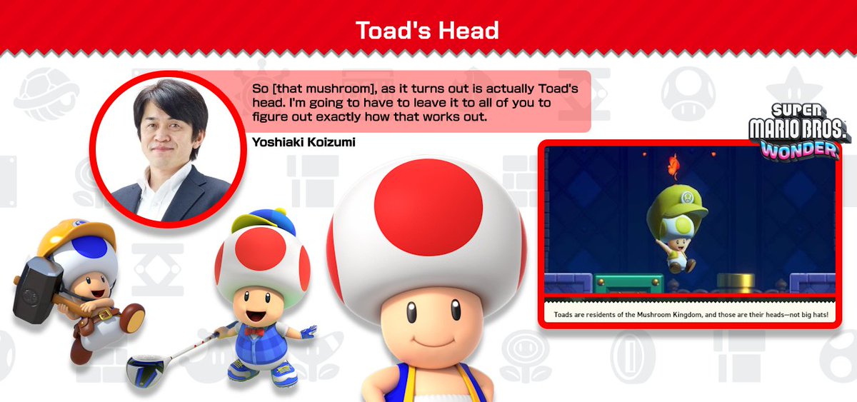 What's the deal with Bowser's Kingdom, really? : r/Marioverse