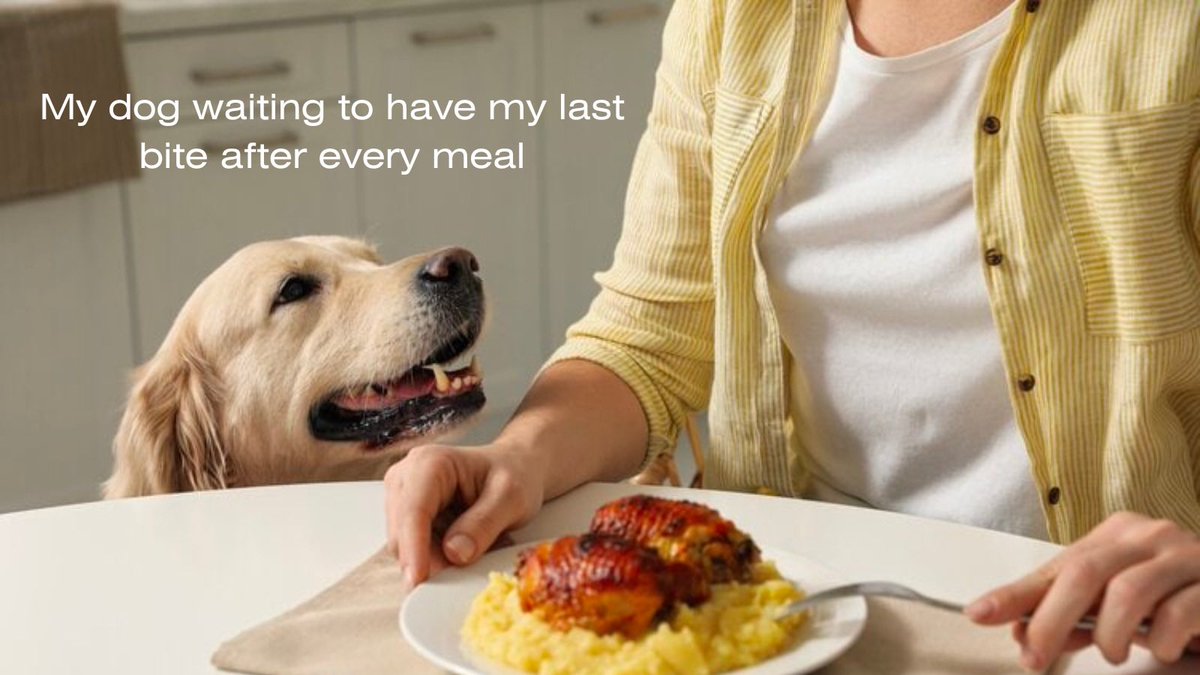 richiedjoy's tweet photo. #dogsarefamilytoo #badhabitsdogs https://t.co/guhmSUF0t0