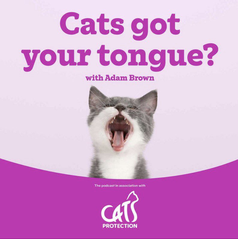 Adam Brown (@adsbrown) on Twitter photo Tomorrow is the launch of the brand new <a href="/CatsProtection/">Cats Protection</a> podcast - hosted by me! If you’re a cat owner/enthusiast you’ll love it! 🐈🐈⬛
We’ve got celebrity cat owners, stories, tips, advice and answers to all the questions you’ve ever had about cats!
🎧 podfollow.com/cats-got-your-… Tomorrow is the launch of the brand new <a href="/CatsProtection/">Cats Protection</a> podcast - hosted by me! If you’re a cat owner/enthusiast you’ll love it! 🐈🐈⬛
We’ve got celebrity cat owners, stories, tips, advice and answers to all the questions you’ve ever had about cats!
🎧 podfollow.com/cats-got-your-…