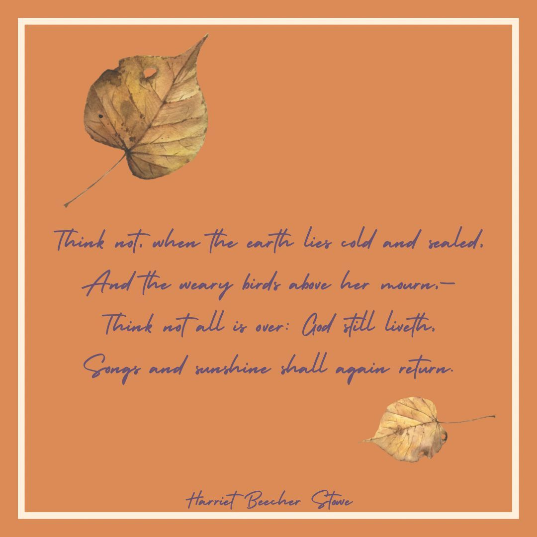 Synod of the Sun tweet media