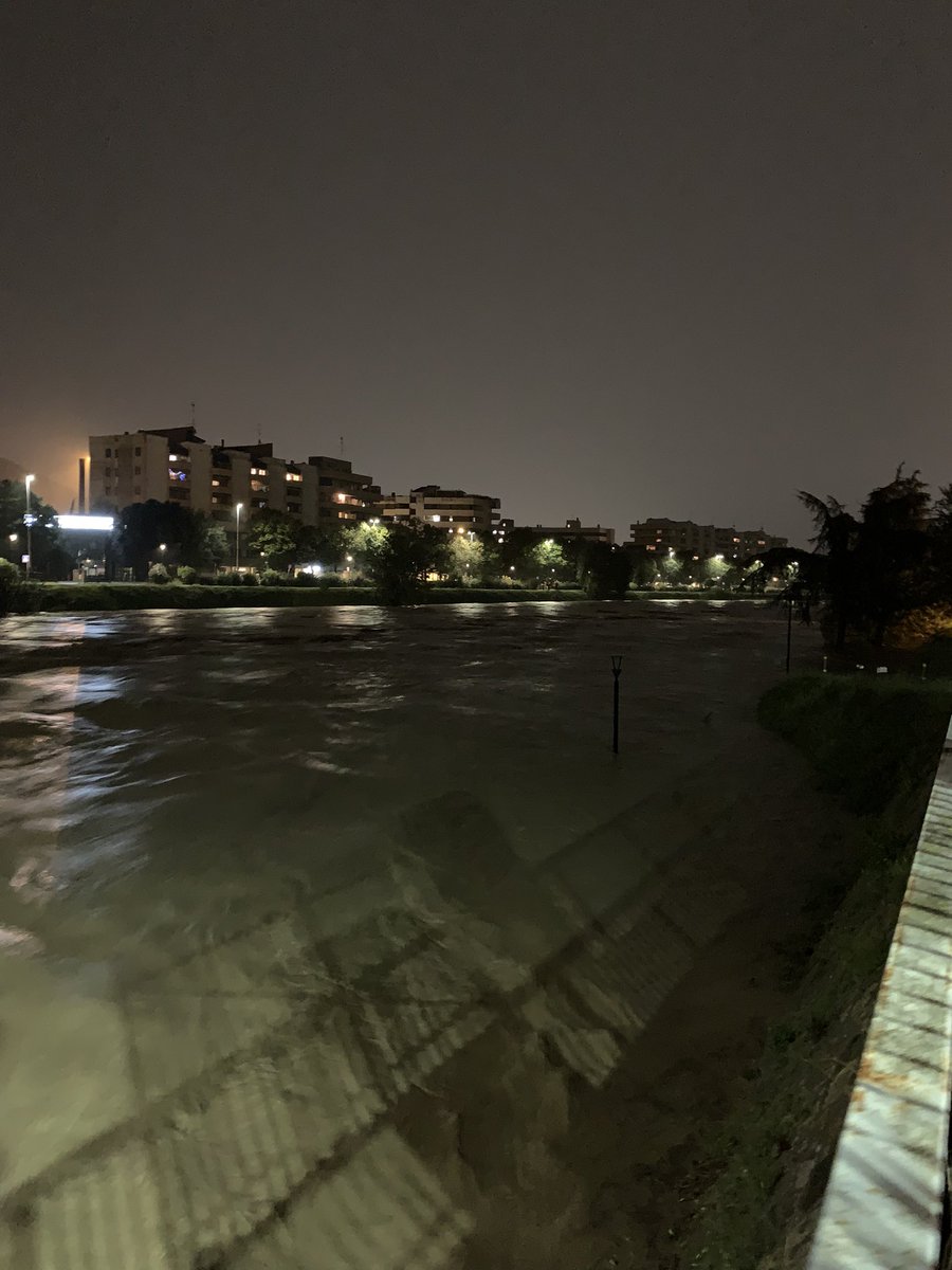 Matteo Prato  tweet media