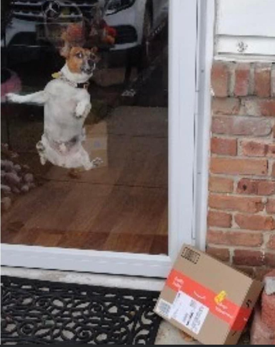 Proof of delivery photo from Amazon 🤣😂🤣