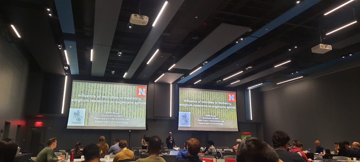 Sanket Shinde tweet media