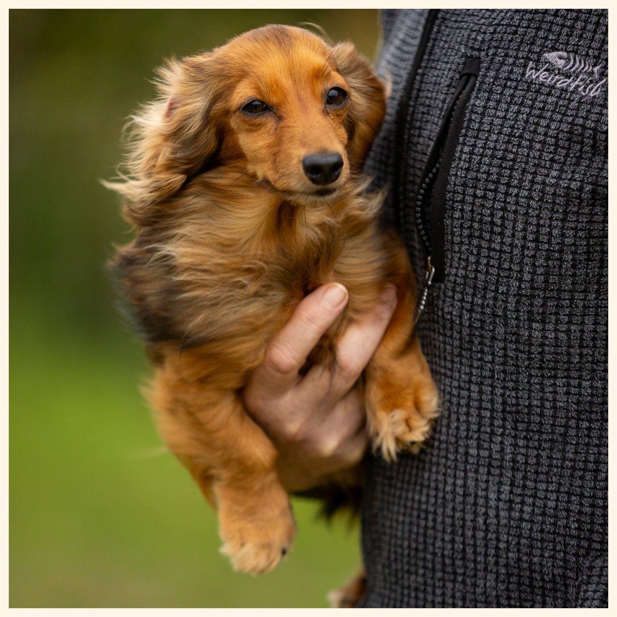 Phil Sledge tweet media