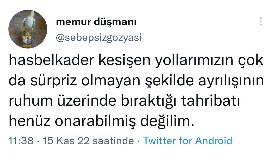 vaykigencim's tweet photo. https://t.co/PJ0S6fX7ur