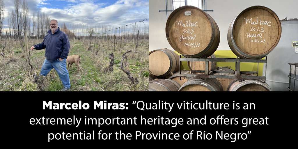 🍷 🇦🇷 We interviewed Marcelo Miras, the owner of <a href="/BodegaMiras/">Bodega Miras</a> and the Director of Viticulture in #RíoNegro, in northern #Patagonia.

🙌 He’s an expert when it comes to this #VinoArgentino producing region, its wines, history and offer.

📲 Read more here: blog.winesofargentina.com/destacadas/mar…