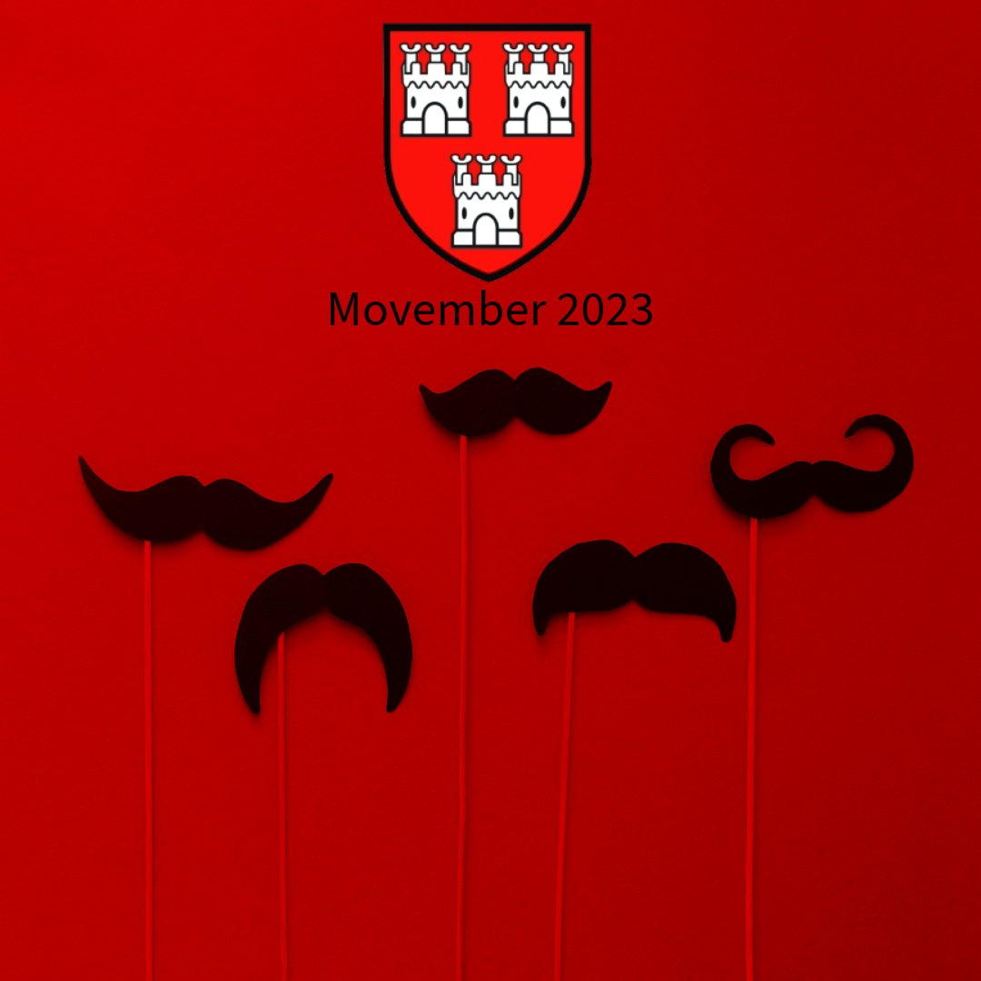 Novos RFC tweet media