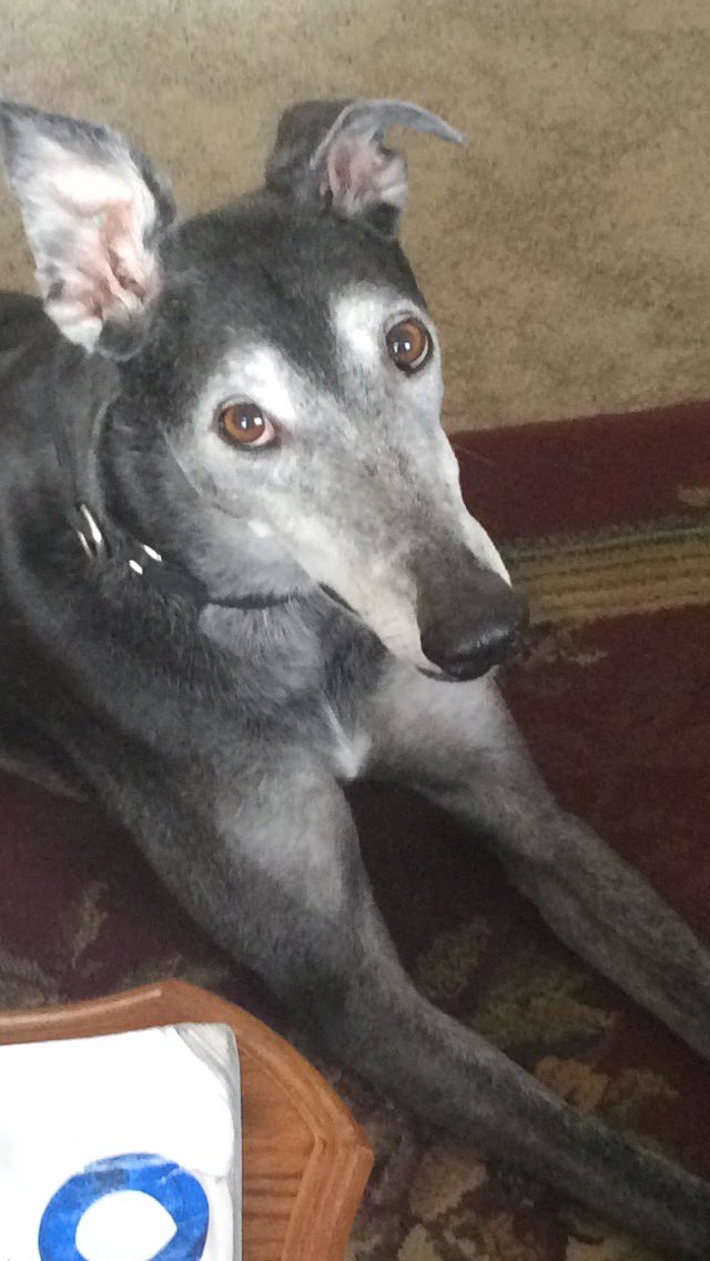 Deaf and Diabeetus tweet media