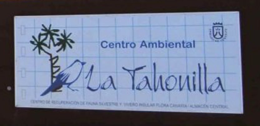 SEPCA CABILDO TENERIFE tweet media