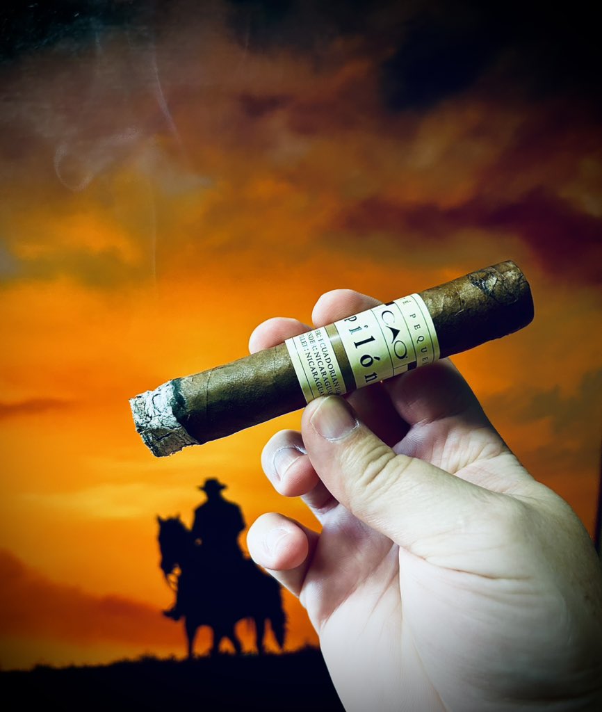 AnnapolisAsh's tweet photo. Let the evening begin! The CAO Pilon 5x52. #cao #caocigars #caopilon #caopiloncigars #annapolisashtalk #cigarsdailynation #cigarlifestyle💨💨💨 #cigarsofinstagram #cigarsociety #cigarsmoker #pssita💨💨💨💨🔥🔥🔥 #staysmokey💨💨💨 #cigarphotos #cigaraficionado #cigarians https://t.co/GwzZ4ZK6ZG
