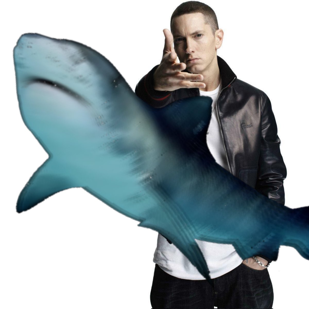 SharkiesOTD's tweet photo. ♡ Catch https://t.co/110Dm946nR