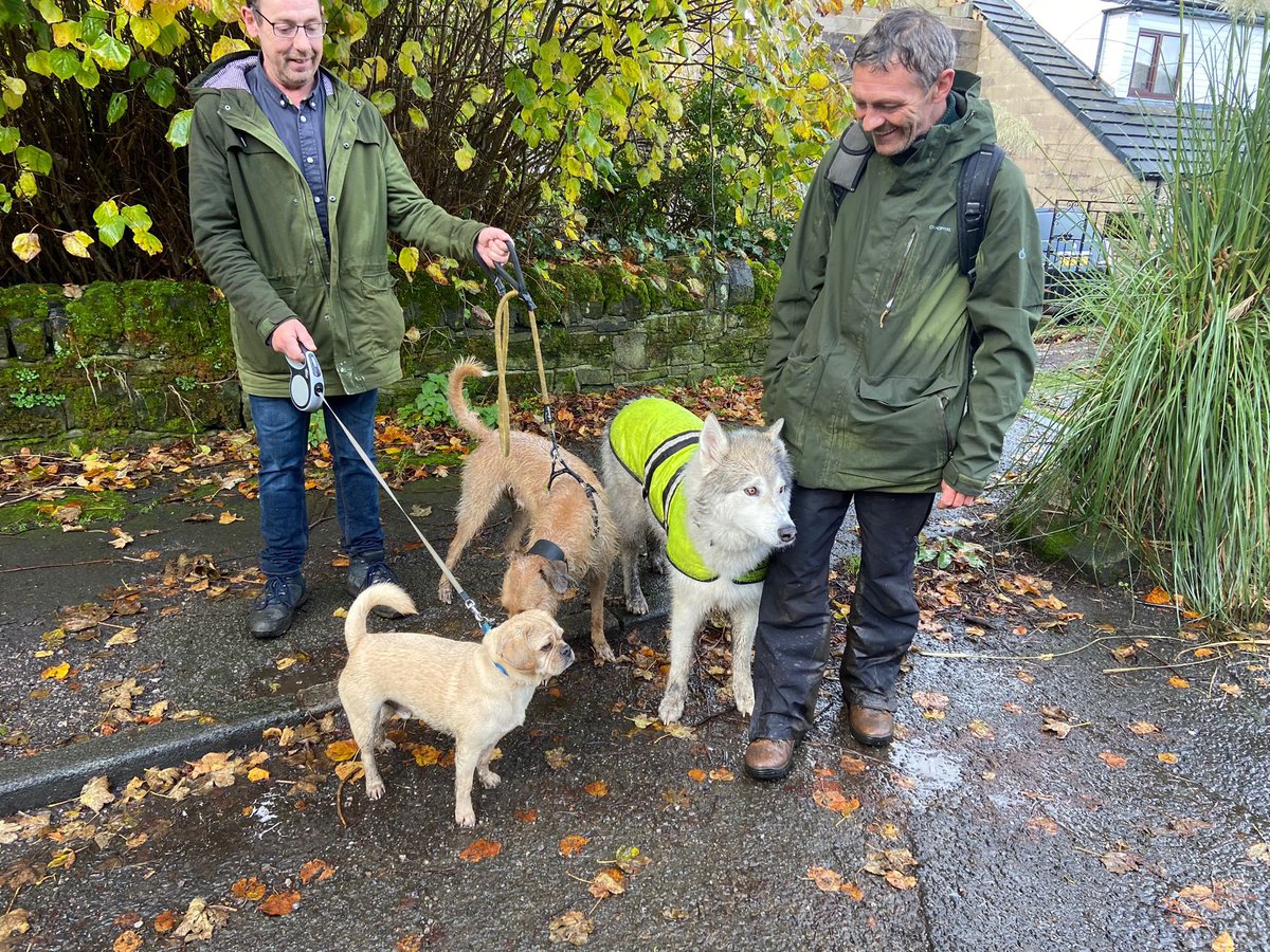 Shine Coaching For Men tweet media