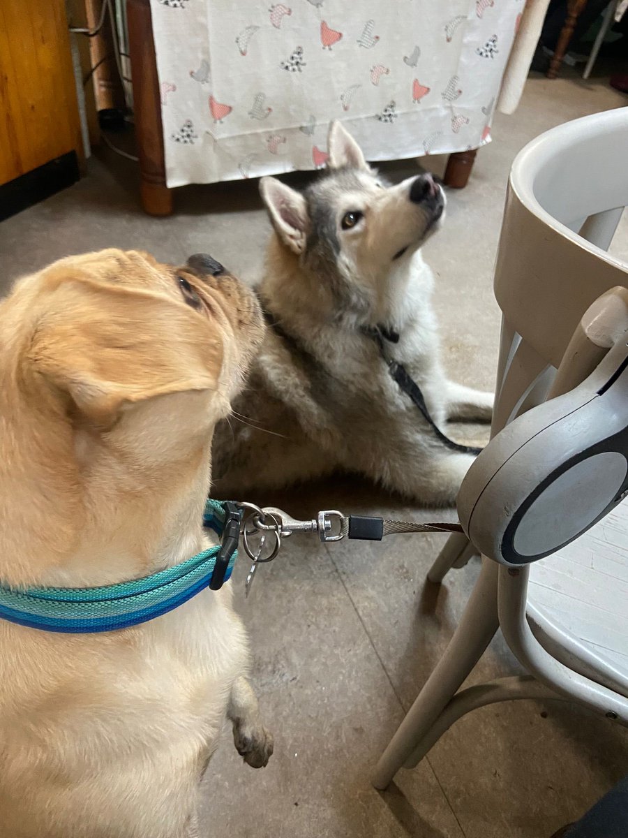 Shine Coaching For Men tweet media