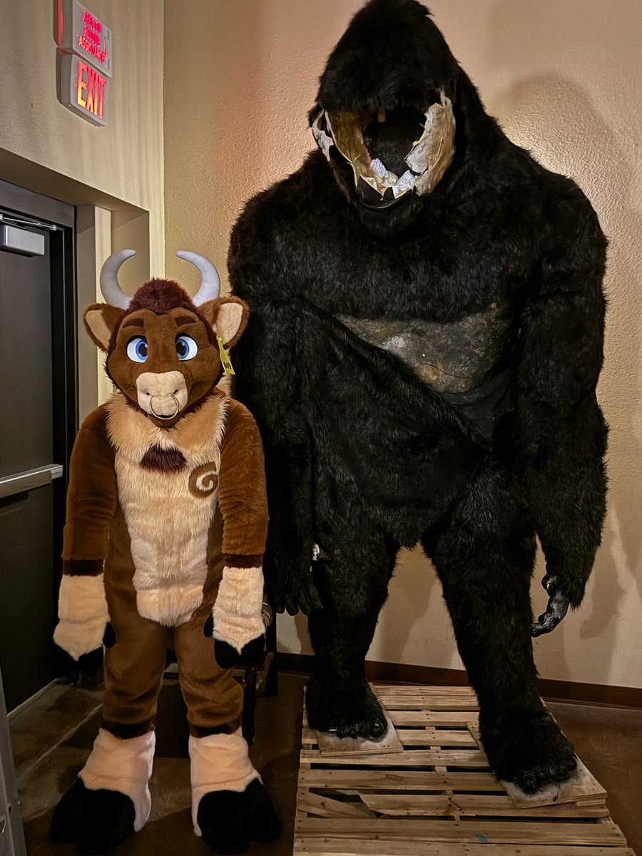 NixTheBull's tweet photo. We’re best friends https://t.co/rCkEtzjQpN