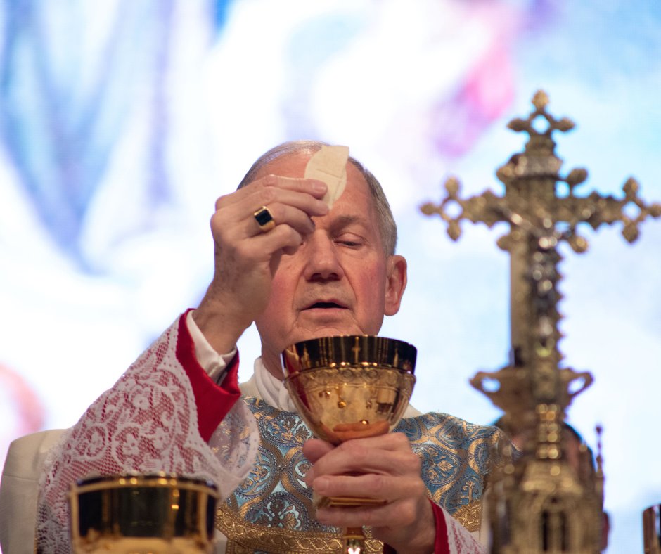diospringfield's tweet photo. Just some of the images from Mass at the Eucharistic Congress. What a beautiful day as thousands came together across our diocese to celebrate the source and summit of our faith! #5000fed #catholic #eucharist https://t.co/0zgmzxoo1w