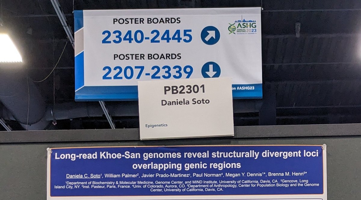 My poster for #ASHG2023 is live in PB2301! Go check it out to learn about our work on structural variants in Khoe-San genomes (co-mentored by @meganydennis and @HennLab)